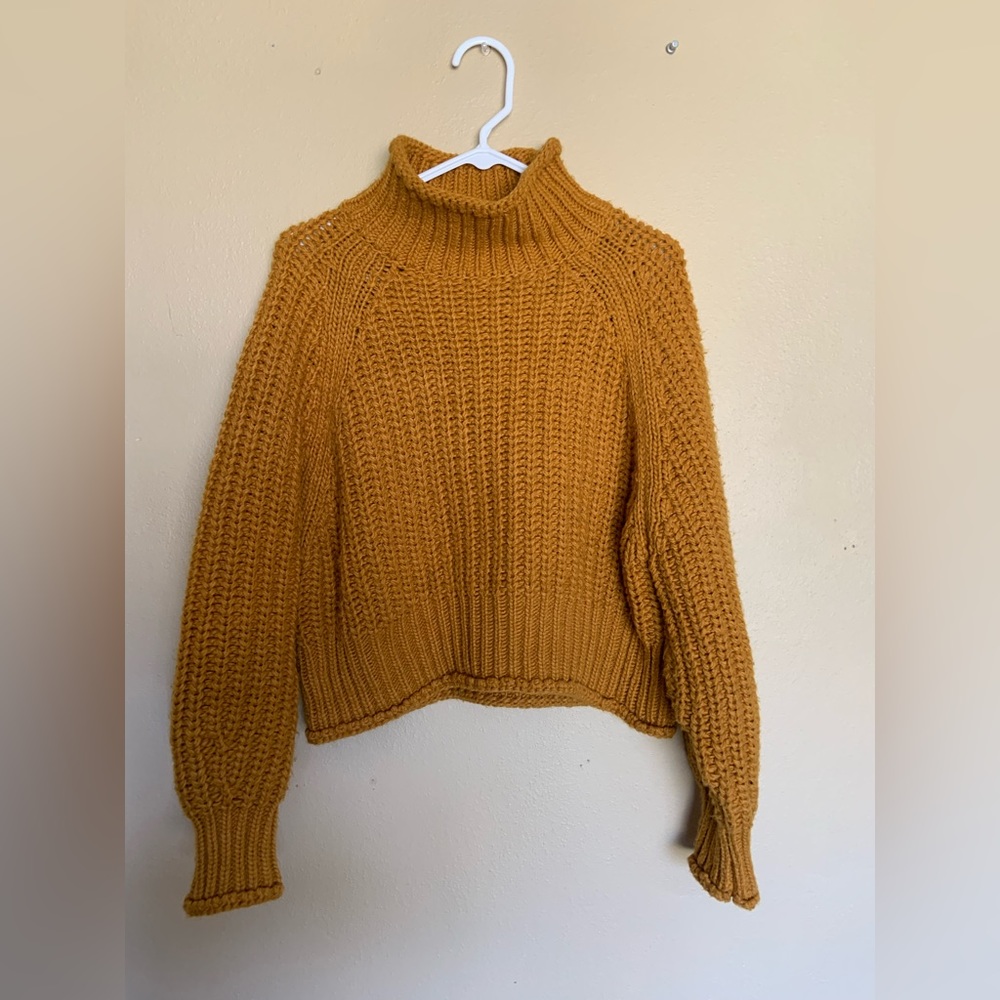 Chunky knit cropped turtleneck